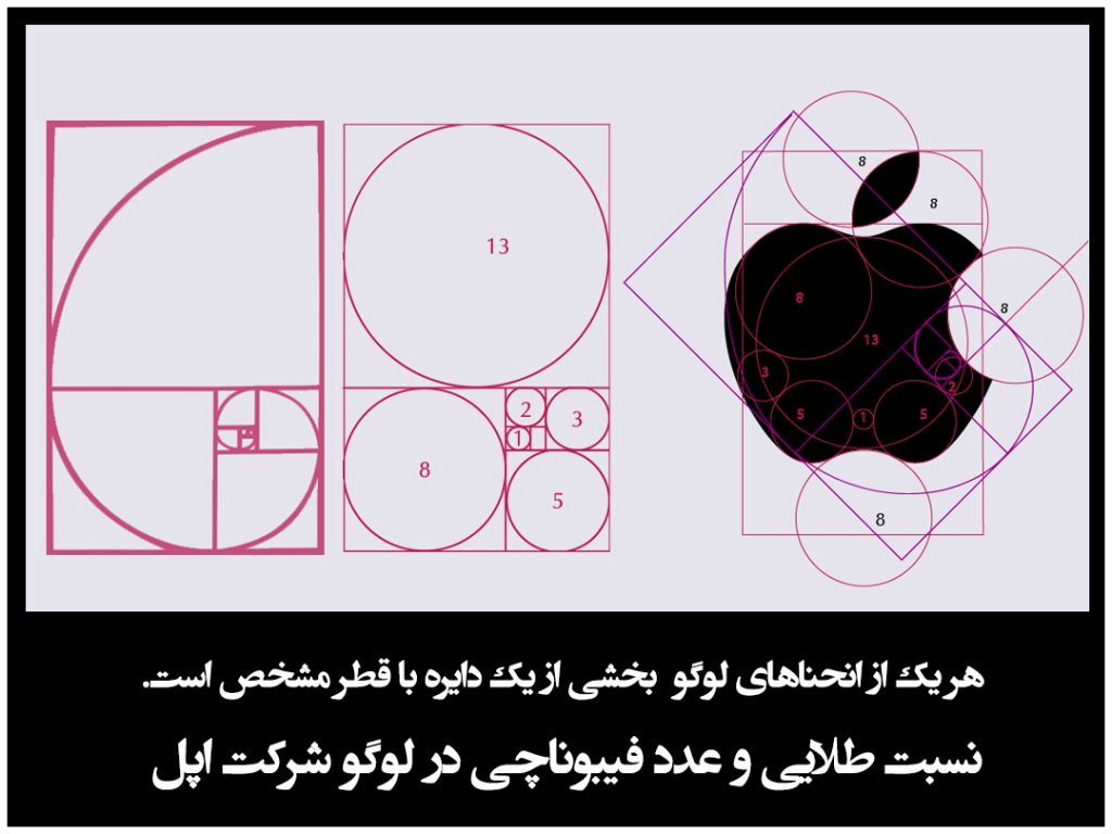 طراحی لوگو شرکت اپل با توجه به نسبت طلایی و عدد فیبوناچی